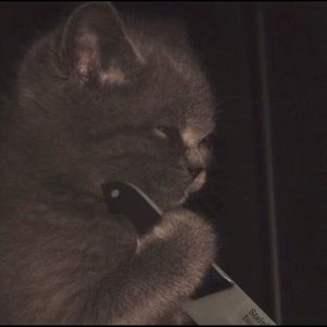 Meet your Posher, Augustina